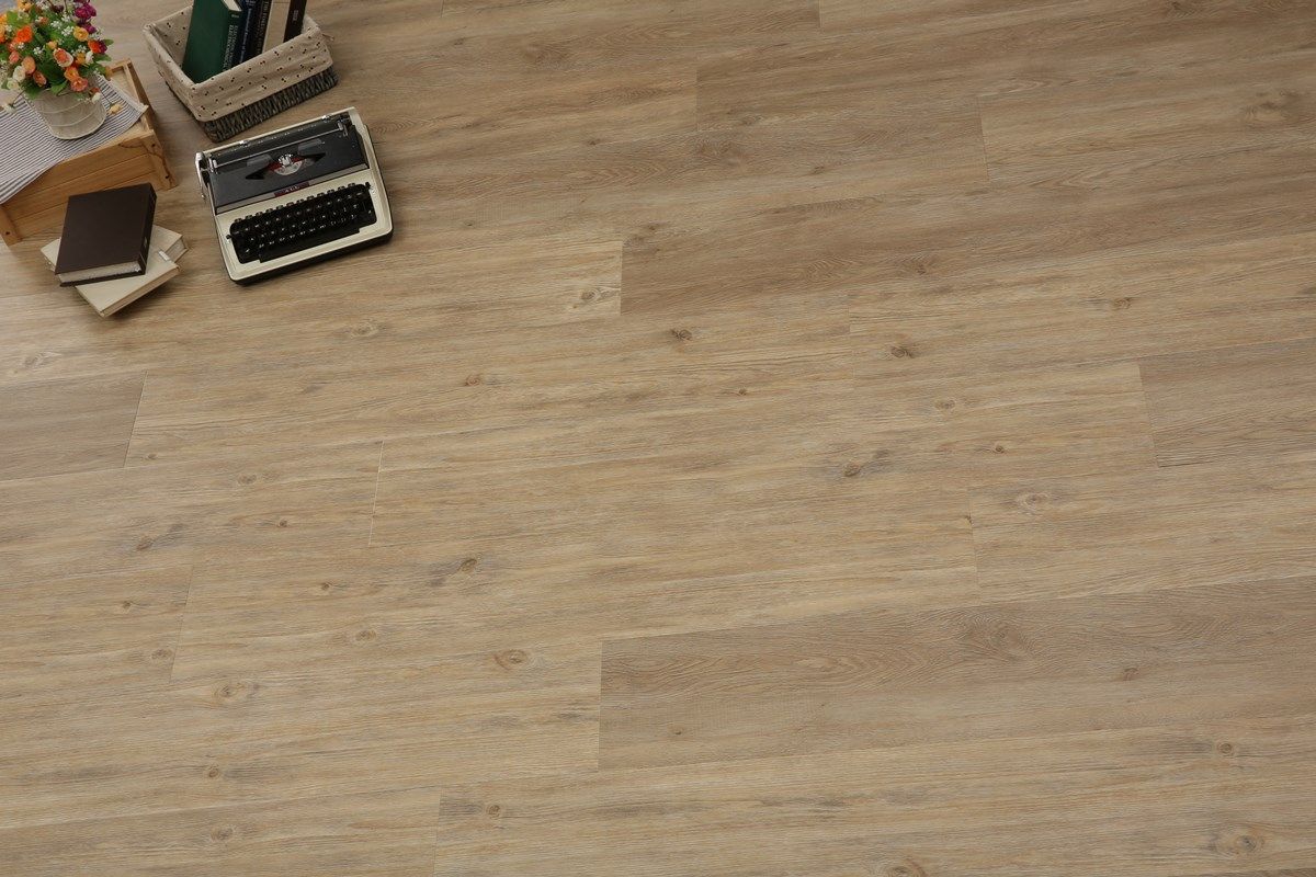 Performance 70 PE70058