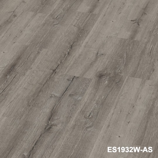 阿爾斯特白橡